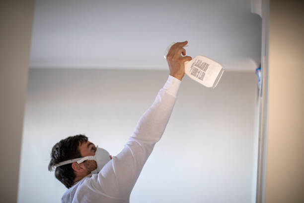 Best Mold Remediation Experts  in Oak Park, MI