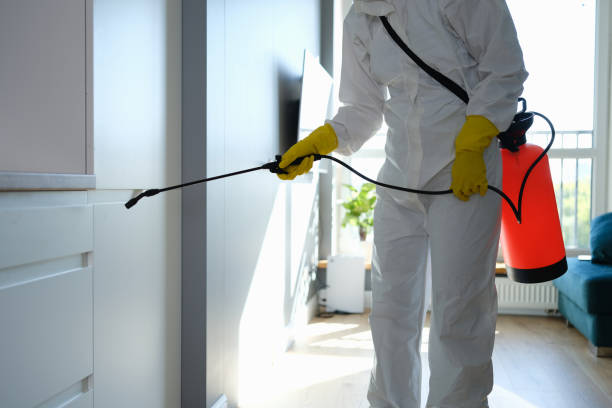 Reliable Oak Park, MI Mold Removal Solutions