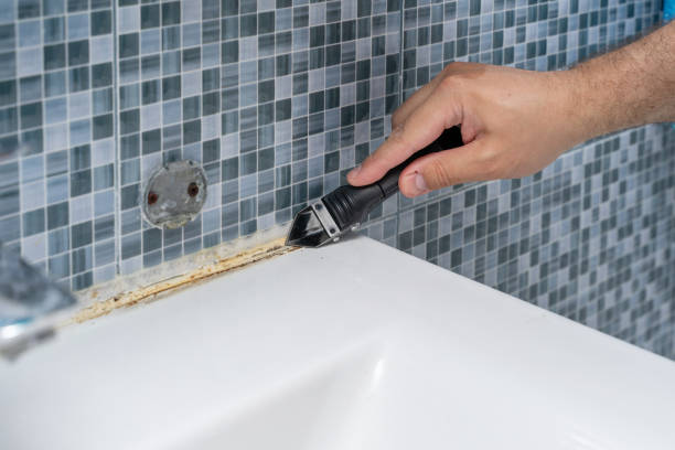 Best Mold Testing  in Oak Park, MI