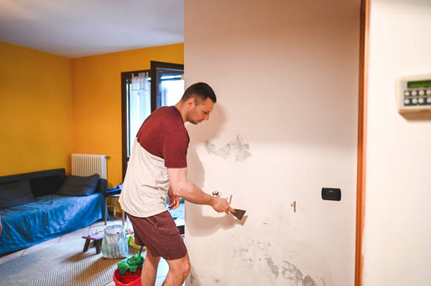 Best Attic Mold Removal  in Oak Park, MI
